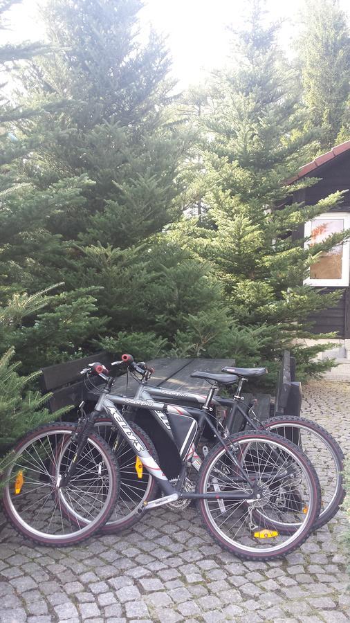 Willa Pod Lasem Szklarska Poręba Exterior foto